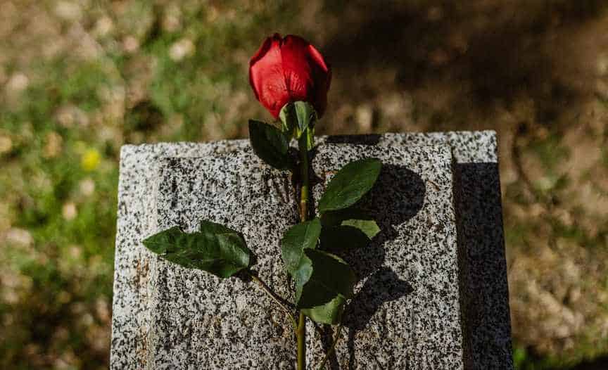 a rose on a grave representing grief counselling